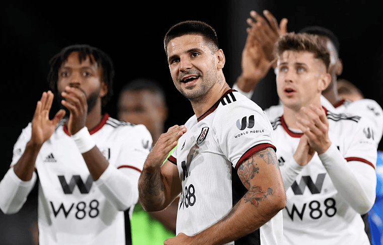 头部运营商 头部运营商